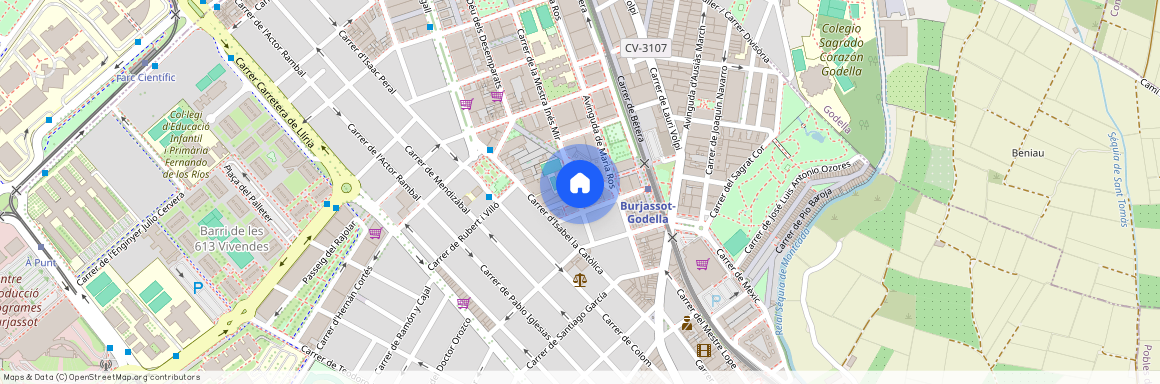 Calle Maestra Ines Mir, 18, 46100 Burjassot, Spain