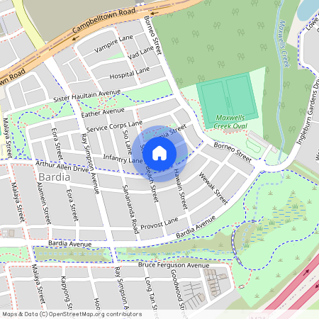 99 Arthur Allen Drive, NSW 2565, Bardia