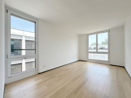 Top moderne Wohnung an der Sihl - Photo 2