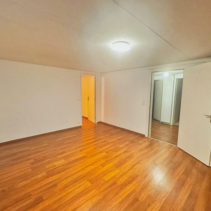 Charmante maison à louer sur Chéserex - Photo 1