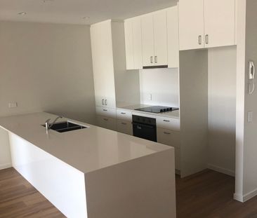 3111/4 Oaky Creek Road, Coomera QLD 4209 - Apartment For Rent | Domain - Photo 2