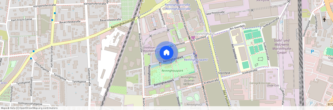 8020 Graz, 14.Bez.:Eggenberg, Reininghauspark 4