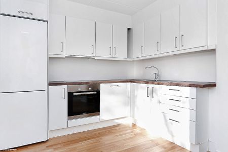 Lejonets Gata 348, Brandbergen - Photo 3