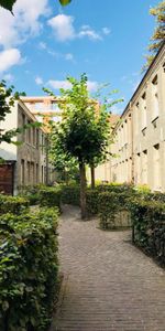 Unieke beluik-sfeer aan de Bijloke! - Foto 4