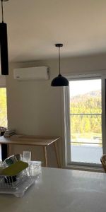 4 et demi quasi neuf à louer à Sainte-Agathe-des-Monts - Photo 4