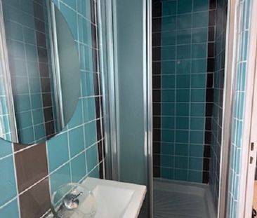 Location Appartement 1 pièce 24m² - Photo 3