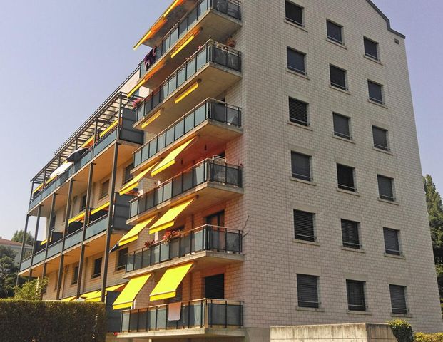 Appartement 3,5 pièces rénové à Morges - Photo 1