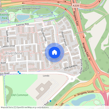 Waterlily Close, Basingstoke, RG21