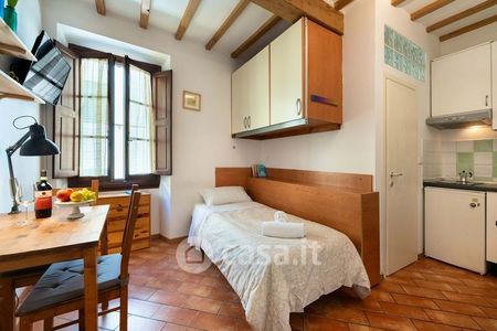 Monolocale in Affitto in Borgo Allegri a Firenze - Foto 3