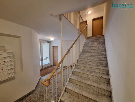 Supersüß und grün und sonnig - Photo 3