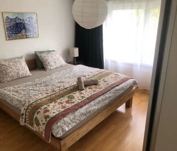 2.5 Zimmer, 1. Stock - Photo 6