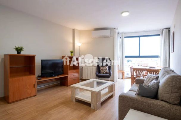 Apartamento en alquiler en Seminari - Photo 1