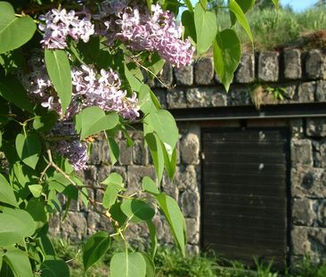 Blodriskegränd 8 B - Foto 1