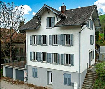 Sonnige Terrasse mit Wiese & grosszügige 3.5 Zimmer Wohnung - Photo 4