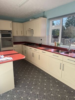 Room in a Shared House, Egdon Drive, LU2 - Photo 1