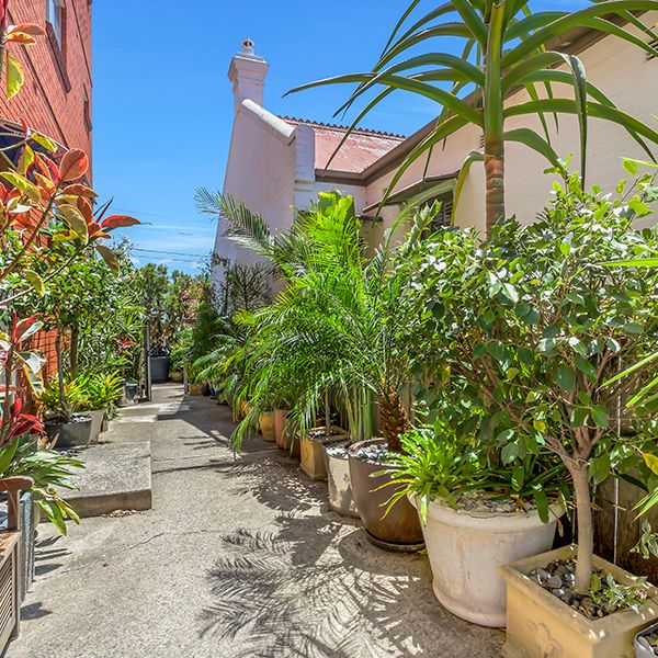 7/15 Eton Street, Camperdown NSW 2050 - Apartment For Rent | Domain - Photo 1