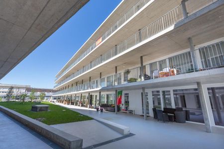 Attraktive 2.5 – Zimmerwohnung im Wendepark - Photo 5