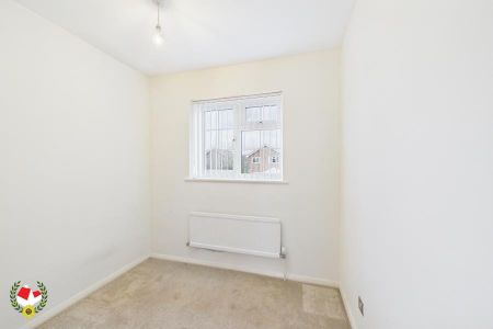 Fieldfare, Abbeydale, Gloucester - Photo 4