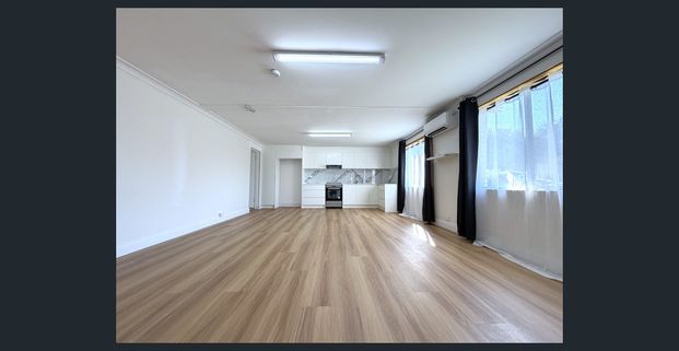 Huge renovated 1 bedroom house-ground level - Photo 1