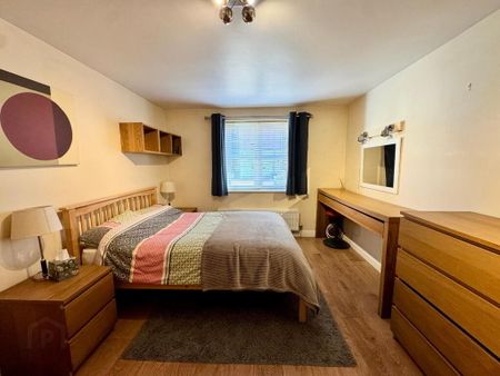 Apt 1, 72 Beech Heights, Wellington Square, Annadale Embankment, Belfast, BT7 3LQ - Photo 3