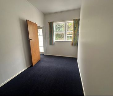 Lincoln Road,Bluff Hill - Photo 4