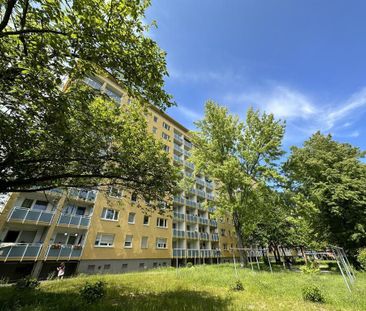 2-Raum-Wohnung - Photo 1