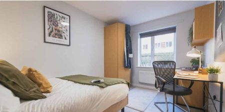 Bronze Room - Photo 5