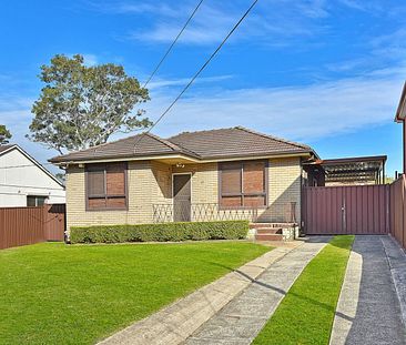 61 Alcoomie Street, 2163, Villawood Nsw - Photo 6