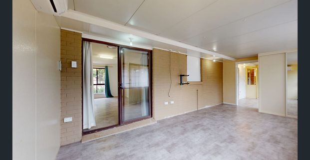 Something For Everyone! - Photo 1