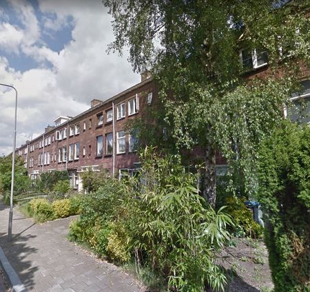 Johan de Wittlaan - Foto 3