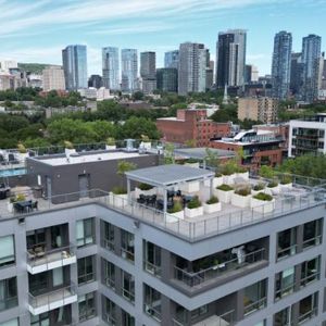 4 1/2 - Montréal (Griffintown) - 2 930 $/mois - Photo 2