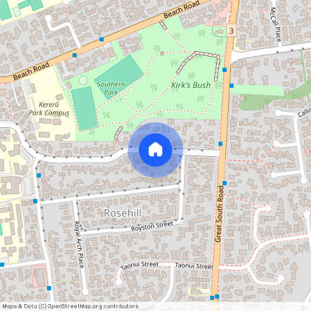 12 Viridian Avenue, Rosehill, Papakura