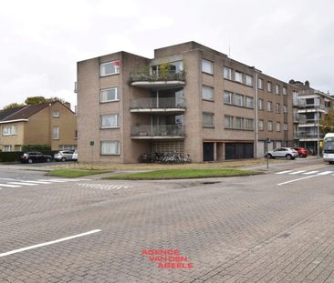 Huis te huur - Foto 3