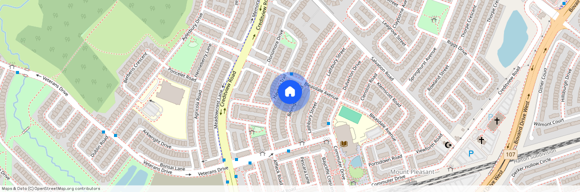 48 Bevington Road Unit# Basement, Brampton