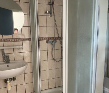 Location Appartement 1 pièce 30m² ALTKIRCH 68130 - Photo 5