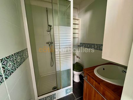 Appartement T2 dans immeuble pierre - Photo 5