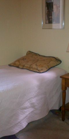 owner - Photo 1