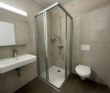 LE TICLE : Appartements neufs à louer - Photo 6