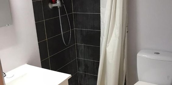 Location Appartement 1 pièce 15m² ST SAULVE 59880 - Photo 3