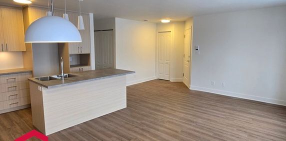 Appartement Saint-Hubert (Longueuil) À Louer - Photo 2