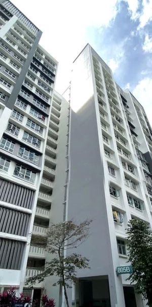 Blk 805C Keat Hong Pride (Choa Chu Kang), HDB 5 Rooms - For Rent - Photo 1