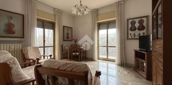 5 locali in affitto - Photo 2