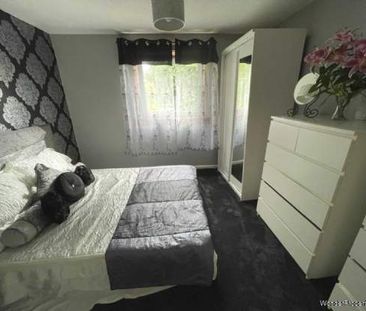 1 bedroom property to rent in Renfrew - Photo 4