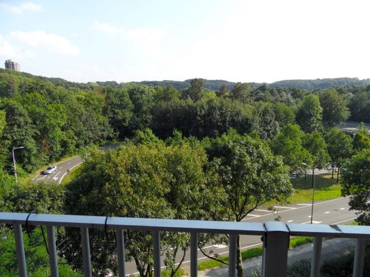 SCHITTEREND APPARTEMENT MET 2 SLAAPKAMERS IN DE DRIEOORTSPUT TE HEERLEN. - Photo 1