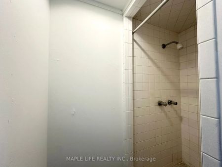 15 Nymark Avenue #Bsmt - Photo 3