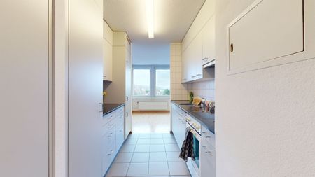 Enjoy the city life of Solothurn! - Photo 2