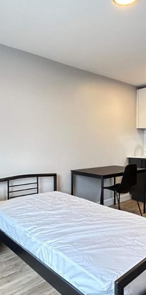 Studio - Montréal - $1,265 /mo - Photo 1