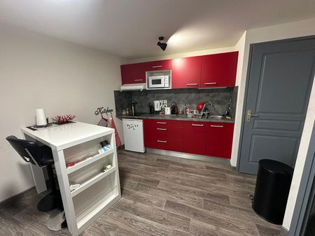 Location Appartement 1 pièce 29m² LE PUY EN VELAY 43000 - Photo 4