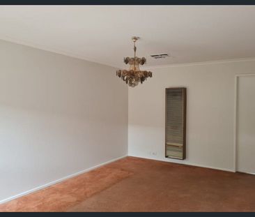 The Perfect Starter - Photo 1