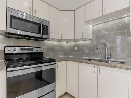 For Lease - 121 Cheritan Avenue Unit# Lower, Toronto, Ontario - Photo 3